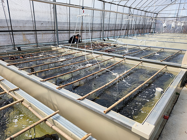 水產養殖污水源熱泵+空氣源熱泵恒溫