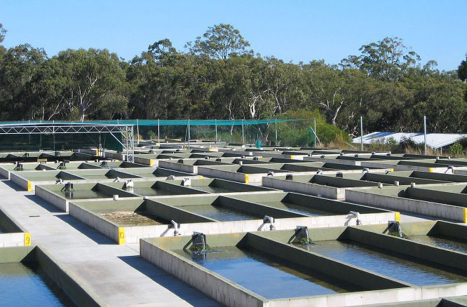 養殖場恒溫空氣能熱水工程解決方案