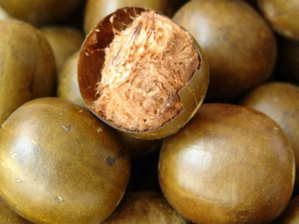 羅漢果熱泵烘干解決方案